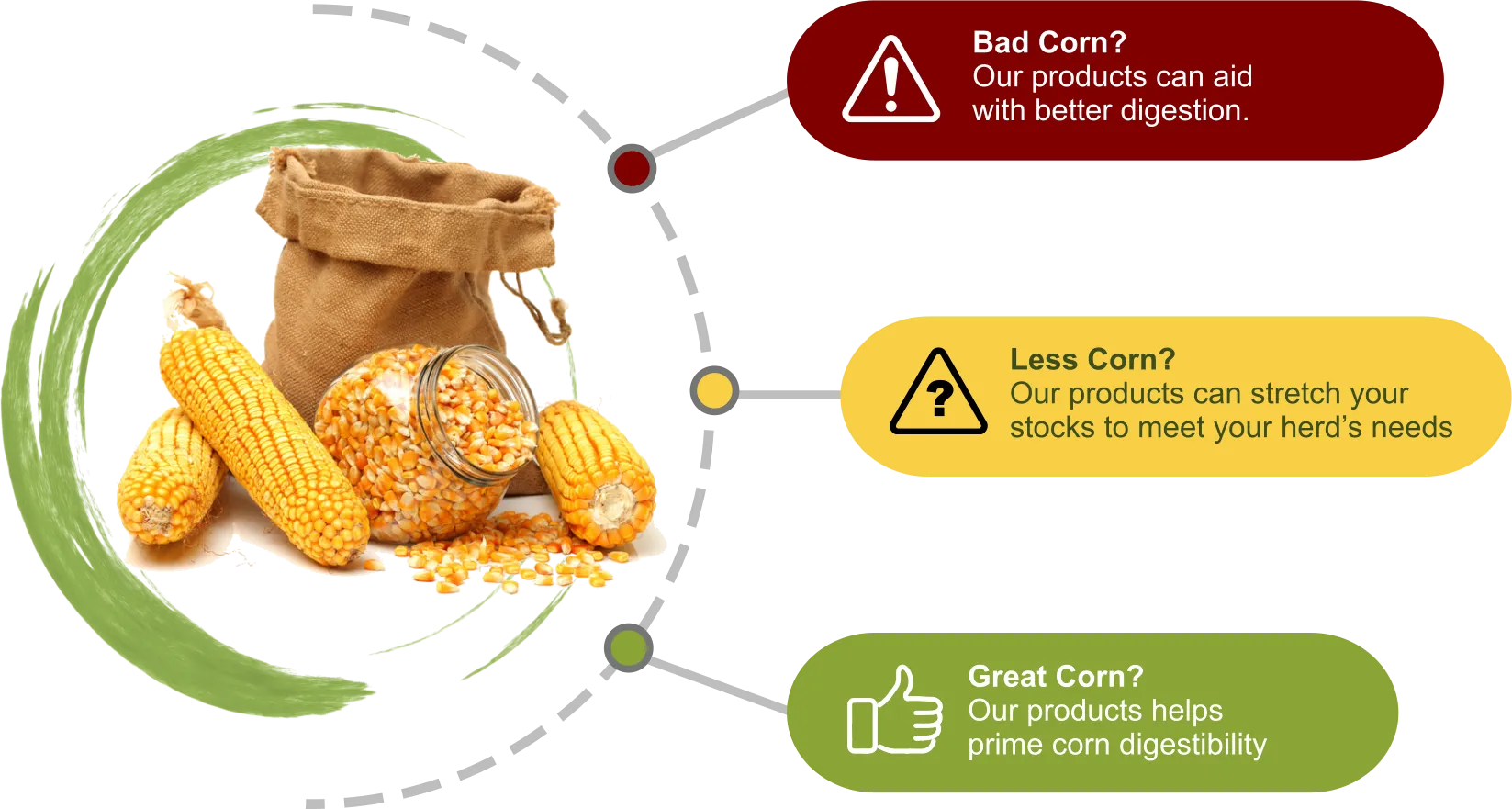 Sub-par corn harvest?